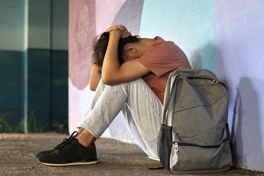 Bullying na Escola: Sinais, Consequências e Estratégias para Vítimas, Pais e Cuidadores